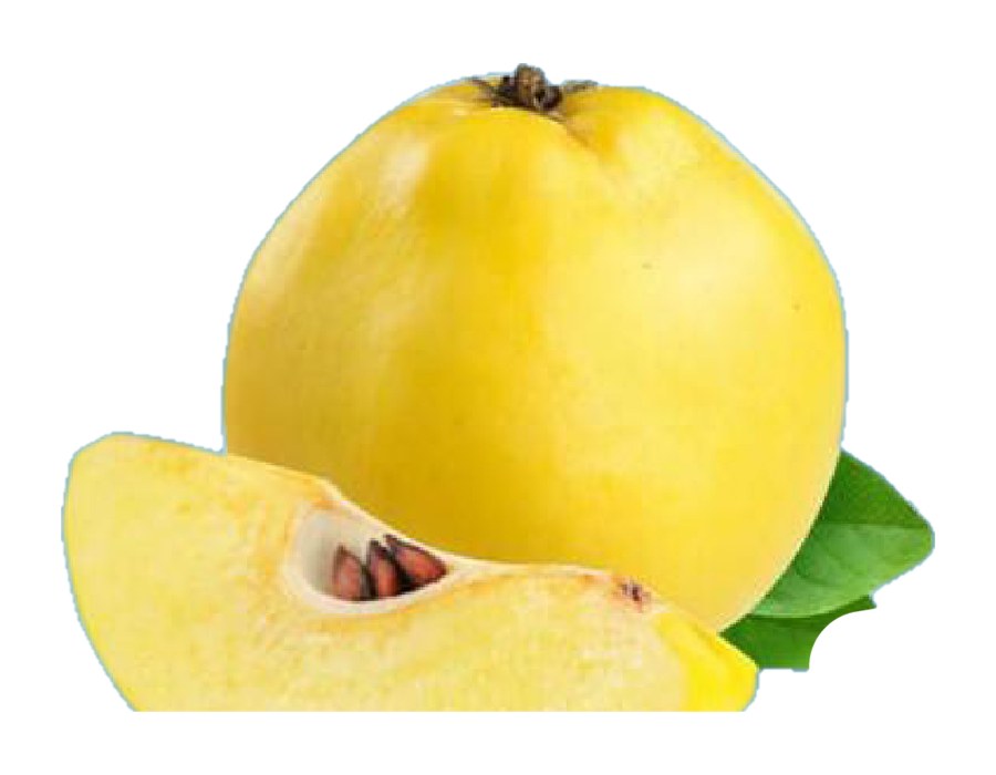 Türk Ayva
